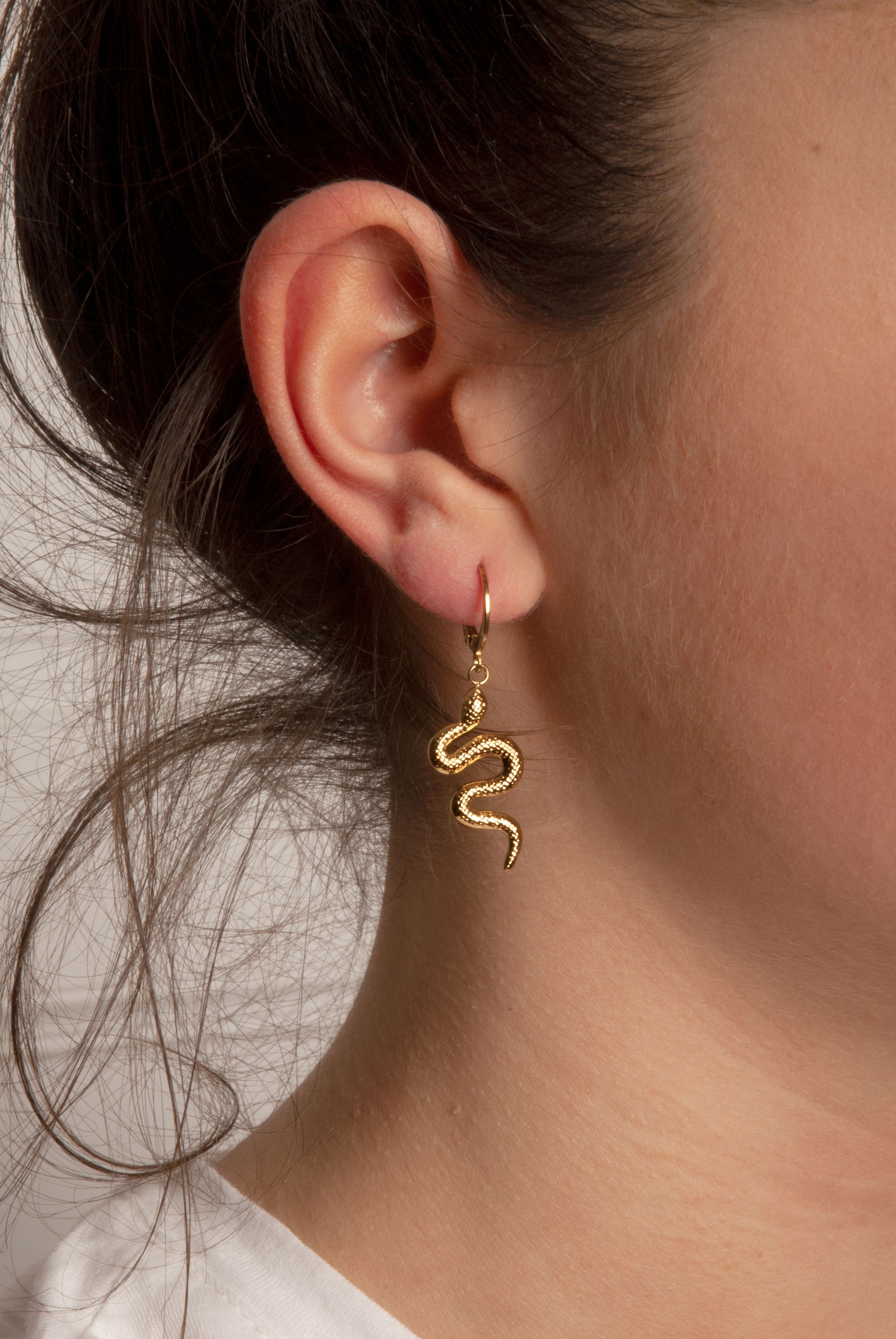 Boucles d’oreilles en acier inoxydable  – Serpent